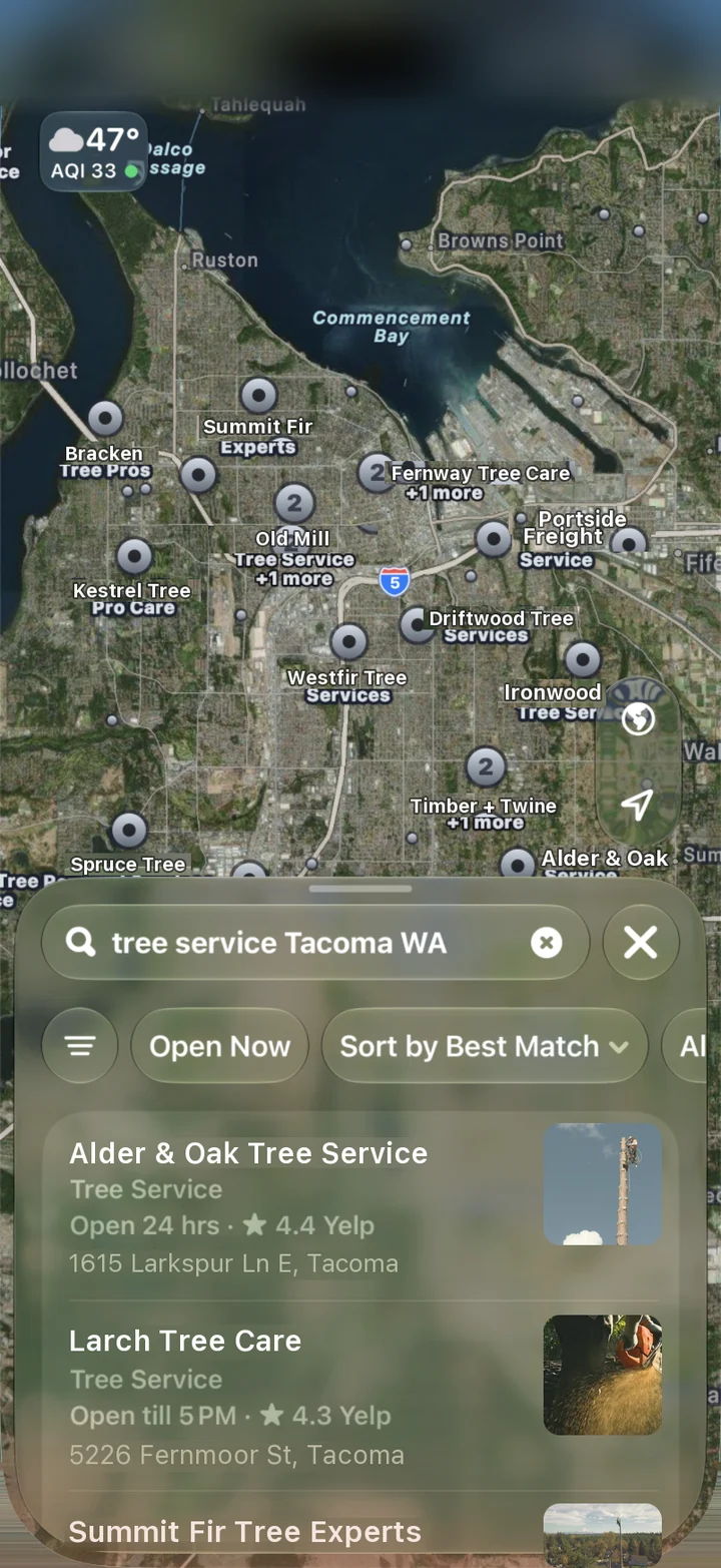 Example Apple Maps search for tree services, with made-up business names