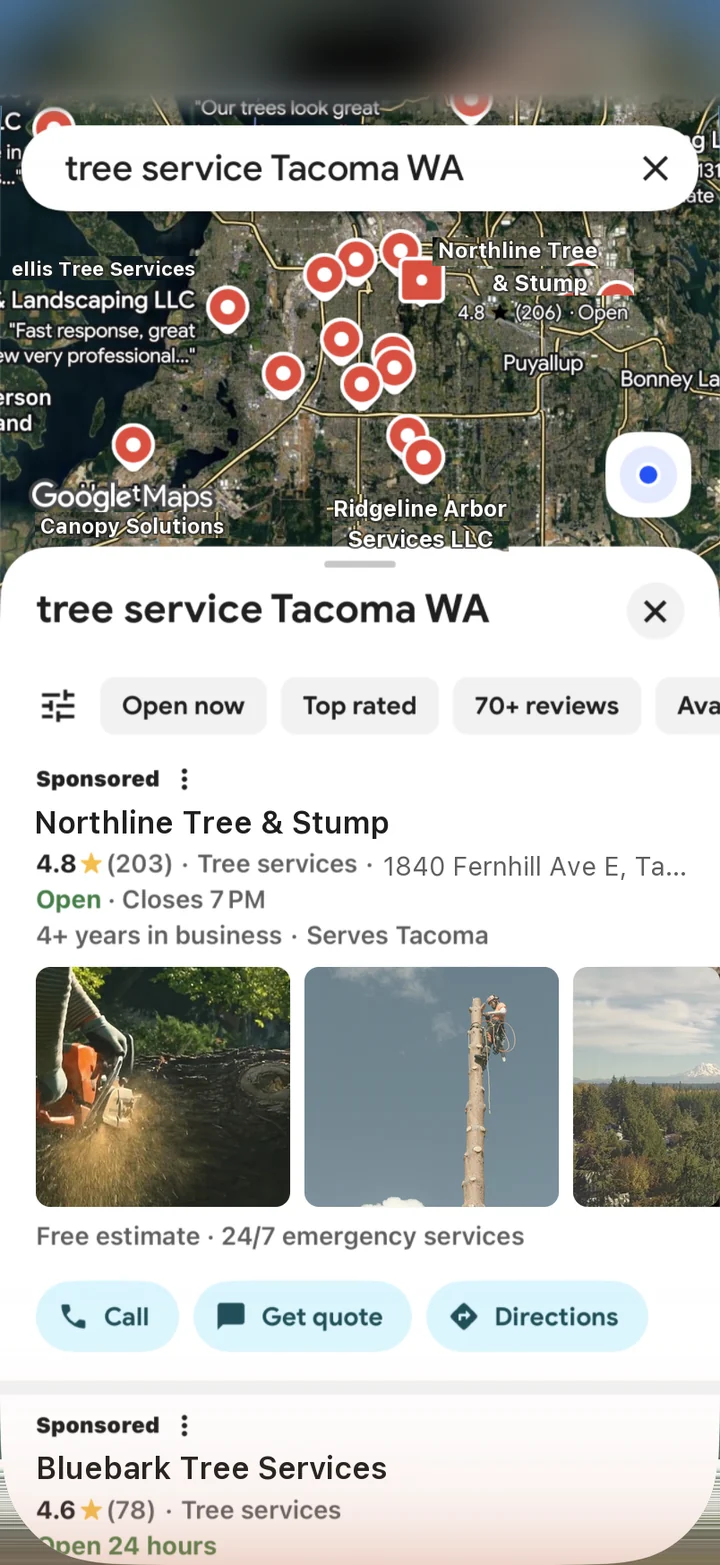 Example sponsored listings in Google Maps, with made-up business names