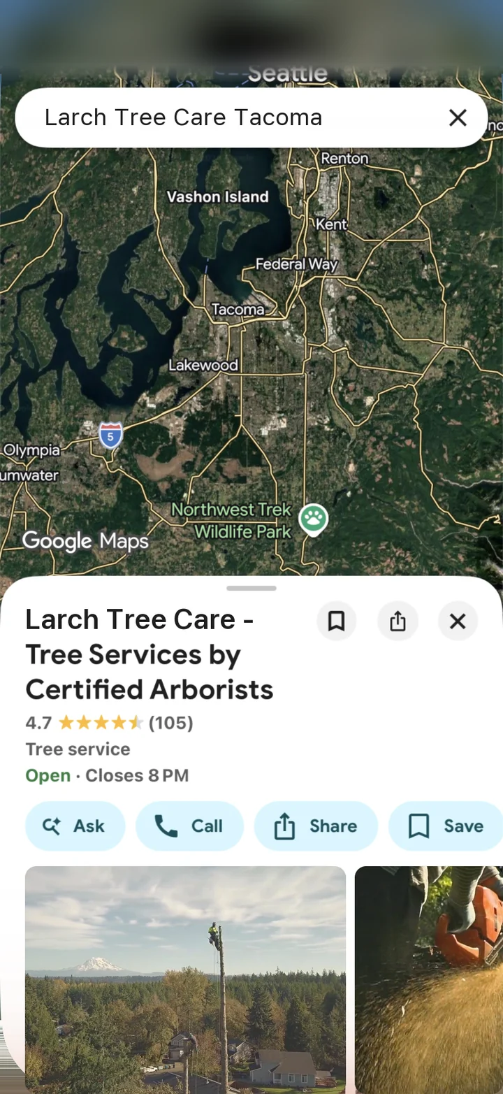Example Google Maps profile for a made-up tree service